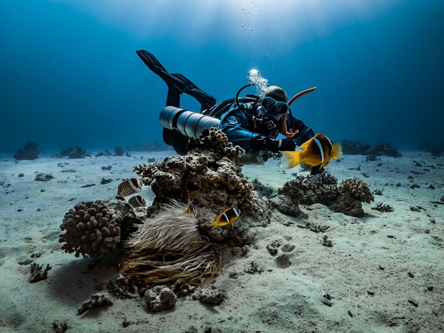 seguro para buceo cozumel