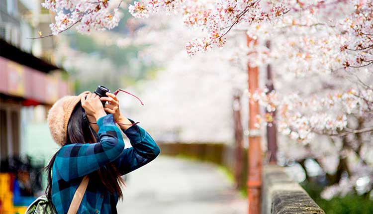 seguro viajero japon